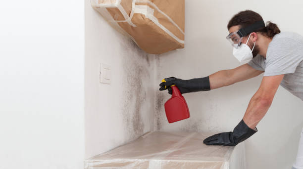 Professional Bathroom Mold Removal technician working in Broomes Island, MD
